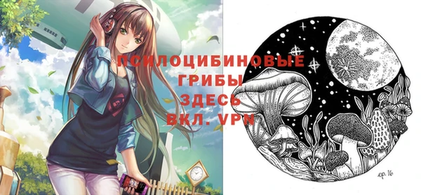 крисы Гусь-Хрустальный