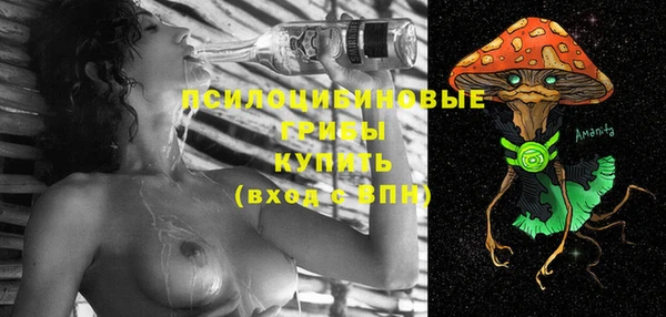 мдпв Гусиноозёрск