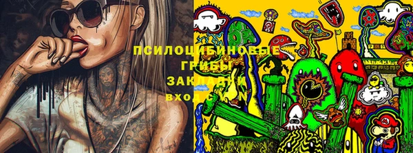 крисы Гусь-Хрустальный