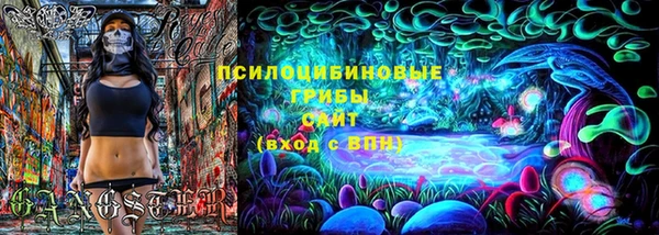 крисы Гусь-Хрустальный
