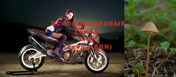 мдпв Гусиноозёрск